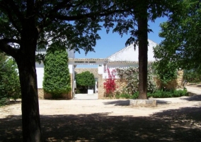 Árboles del patio