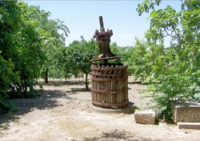 Sala de estar con chimenea