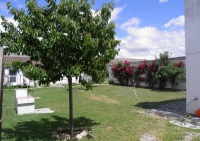 Jardín repleto de plantas