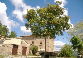 Rodeada de naturaleza