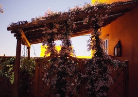 Decoración de flores en los exteriores