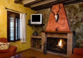 Sala de estar con la chimenea y una tele