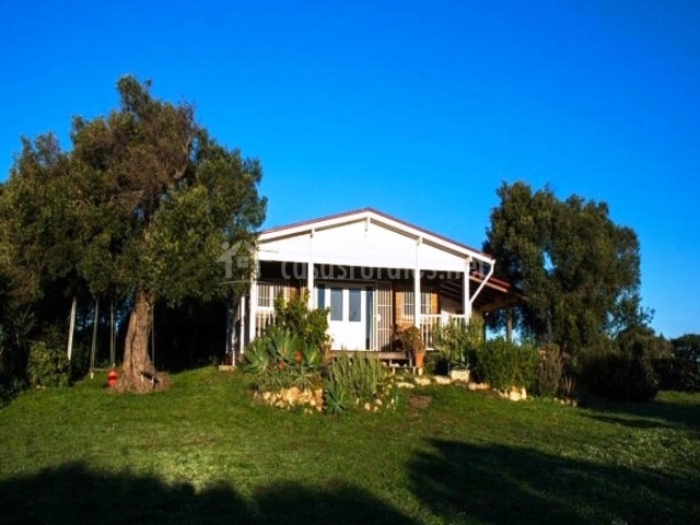 La Zarzamora en Vejer De La Frontera (Cádiz)