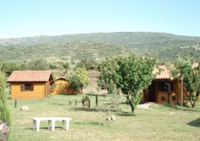 El Rincón del Jerte