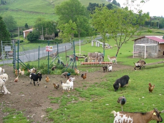 Indate Berri en Aia (Guipúzcoa)