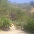 20190721_094613.jpg