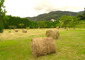 Fachada de la vivienda