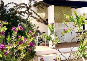 El Patio del Maestro