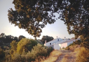 Cortijo Colomo