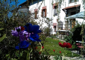 Flores azules y moradas con casa de fondo