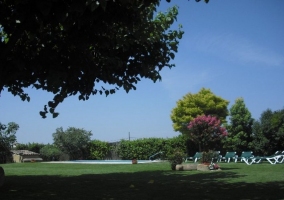 Jardín y tumbonas