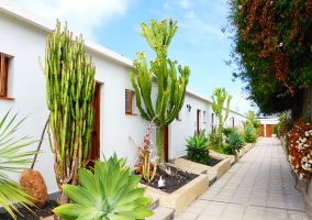 Acceso a los dormitorios con plantas de la zona