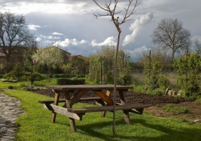 Jardines con mucha vegetación
