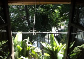 Entrada de la casa llena de plantas y flores con enredaderas en las partes altas