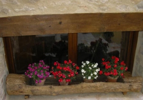 Flores junto a la ventana