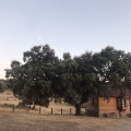 8_11C443D9-E02C-49CC-BBB1-DF12ABBBF36A.jpeg