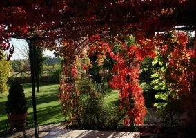 Vistas del porche con plantas