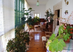 Galería con muebles de exterior y plantas