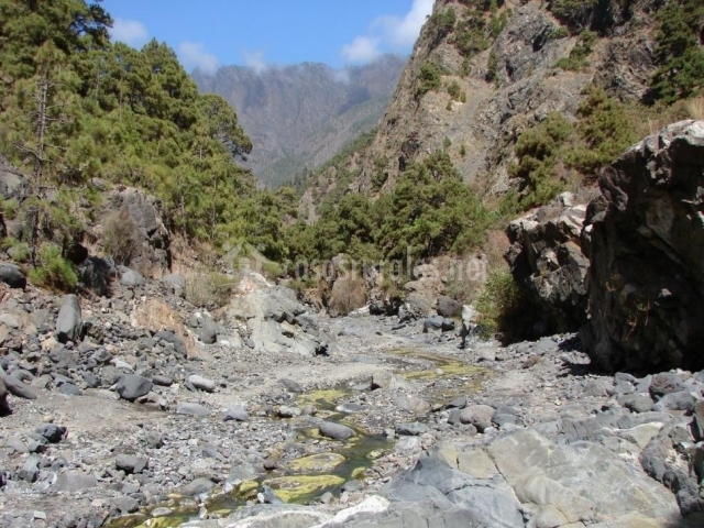 Los Llanos Negros en Fuencaliente (La Palma)