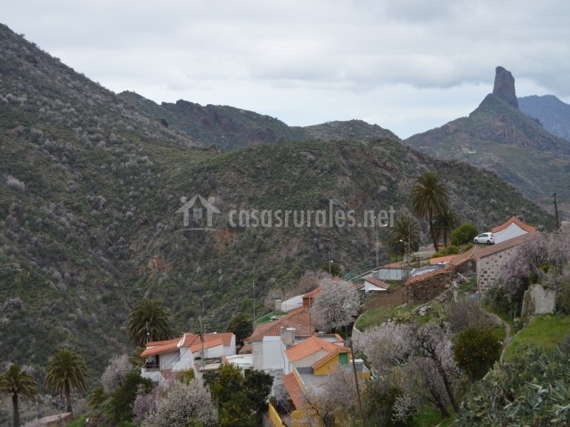 Casa Rural Pepita de las Flores - Casas Rurales en Tejeda (Gran Canaria)