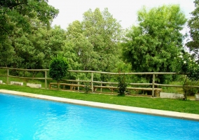 Piscina rodeada de árboles
