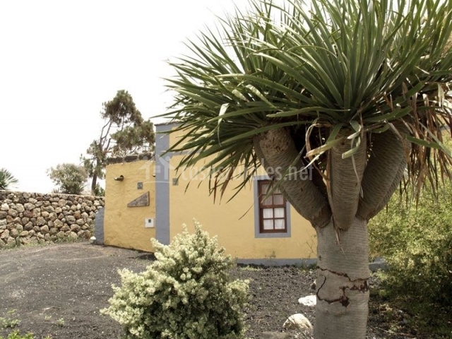 Casa Rural El Drago - Casas Rurales en Moya (Gran Canaria)