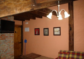 Apartamentos 1 habitación