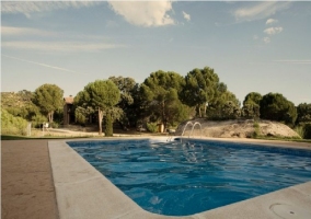 Piscina con escaleras y vistas al bosque