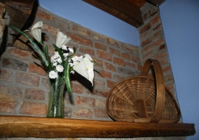 Flores blancas y pared azulada