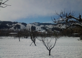 Jardín y alrededores nevados