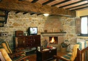 Sala de estar con chimenea y televisión