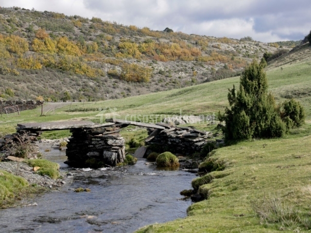 La Casa de los Gatos en Condemios De Abajo (Guadalajara)
