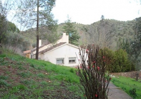 Casa Mimosas - Casas Río Múrtiga