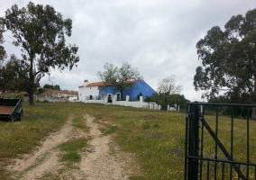 Entrada a la finca, con extensas zonas verdes