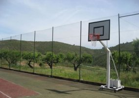 Canasta de baloncesto