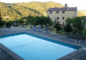 Piscina con hamacas