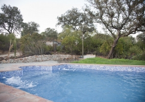 Zona ajardinada que rodea a la piscina de la vivienda