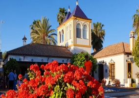 Hacienda la Torre- Casa Rural del Patio