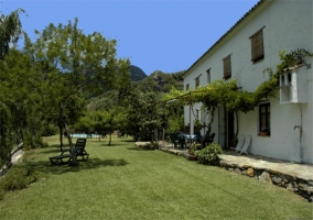 Jardín y piscina al fondo