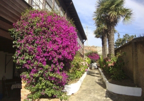 Apartamento Hortensia