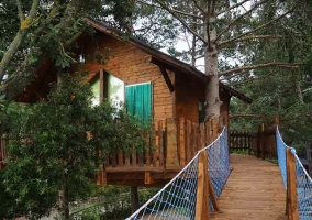 Casa del Árbol Alzina