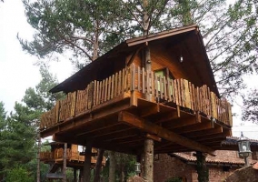 Casa del Árbol Avet