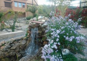 Fuente del patio