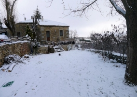 La Insula