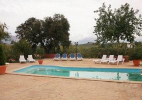 Piscina en el jardín