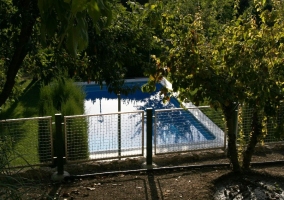 Vista de la piscina desde la vivienda