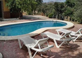Vistas de la piscina con hamacas