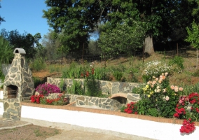 Barbacoa de la vivienda