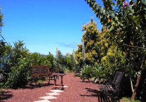 Zona ajardinada con mobilario de jardín