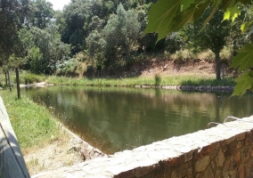 Piscina de la vivienda